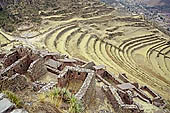 Urubamba Valley, spectacular terraces at Pisac